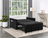 Maeve 53.5"W Black Velvet Convertible Sleeper Loveseat with Tufting and Side Pocket