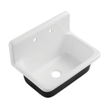 Petra Galley 30-Inch x 20-Inch Cast Iron Wall Mount Kitchen Sink