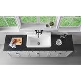 Petra Galley 33-Inch x 19-Inch Cast Iron Wall Mount Kitchen Sink