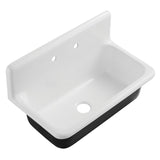 Petra Galley 36-Inch x 20-Inch Cast Iron Wall Mount Kitchen Sink