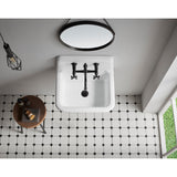 Petra Galley 22-Inch x 18-Inch Cast Iron Wall Mount Utility Sink