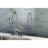 American Classic Single-Handle Pull-Down Kitchen Faucet