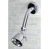 Metropolitan Single-Handle Pressure Balanced Shower Faucet, Trim Only