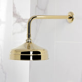 NuvoFusion Single-Handle Pressure Balanced Shower Faucet