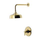 NuvoFusion Single-Handle Pressure Balanced Shower Faucet