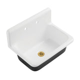 Petra Galley Cast Iron Single Bowl Wall Mount Kitchen Sink with 2-Hole Drain and Strainer