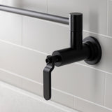 Whitaker Two-Handle Wall Mount Pot Filler