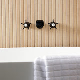 Hamilton Two-Handle 3-Hole Wall Mount Roman Tub Faucet