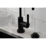 Continental Single-Handle 1-Hole Deck Mount Water Filtration Faucet