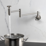 Webb Two-Handle 1-Hole Wall Mount Pot Filler with Knurled Handle