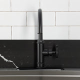 Levante Single-Handle 2-Hole Deck Mount Kitchen Faucet