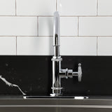 Levante Single-Handle 2-Hole Deck Mount Kitchen Faucet