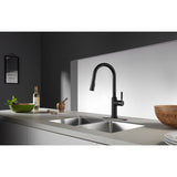 Kaiser Single-Handle 1-Hole Deck Mount Pull-Down Sprayer Kitchen Faucet