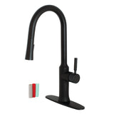 Kaiser Single-Handle 1-Hole Deck Mount Pull-Down Sprayer Kitchen Faucet