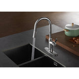 Kaiser Single-Handle 1-Hole Deck Mount Pull-Down Sprayer Kitchen Faucet