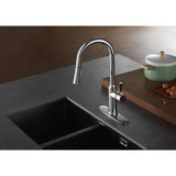 Kaiser Single-Handle 1-Hole Deck Mount Pull-Down Sprayer Kitchen Faucet