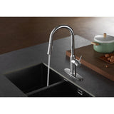 New York Single-Handle Pull-Down Kitchen Faucet