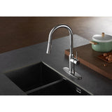 New York Single-Handle 1-Hole Deck Mount Pull-Down Sprayer Kitchen Faucet