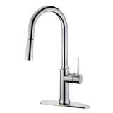 New York Single-Handle Pull-Down Kitchen Faucet