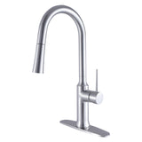 New York Single-Handle Pull-Down Kitchen Faucet