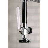 Continental Single-Handle 1-Hole Deck Mount Pre-Rinse Kitchen Faucet