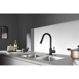 Concord Single-Handle Pull-Down Kitchen Faucet