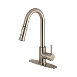 Concord Single-Handle Pull-Down Kitchen Faucet