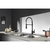 Continental Single-Handle 1-Hole Deck Mount Pre-Rinse Kitchen Faucet