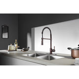 Continental Single-Handle 1-Hole Deck Mount Pre-Rinse Kitchen Faucet