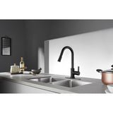 Continental Single-Handle Pull-Down Kitchen Faucet