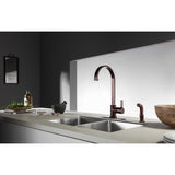 Continental Single-Handle 2-Hole Deck Mount Kitchen Faucet with Side Sprayer