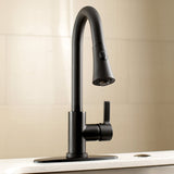 Continental Single-Handle Pull-Down Kitchen Faucet