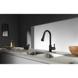 Continental Single-Handle Pull-Down Kitchen Faucet