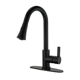 Continental Single-Handle Pull-Down Kitchen Faucet