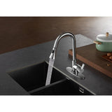 Continental Single-Handle Pull-Down Kitchen Faucet