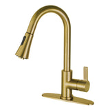 Continental Single-Handle Pull-Down Kitchen Faucet