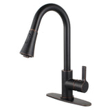 Continental Single-Handle Pull-Down Kitchen Faucet