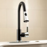 Continental Single-Handle Pull-Down Kitchen Faucet