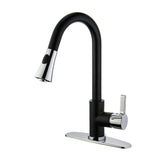 Continental Single-Handle Pull-Down Kitchen Faucet