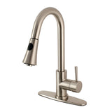 Concord Single-Handle Pull-Down Kitchen Faucet