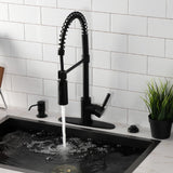 Kaiser Single-Handle 1-Hole Deck Mount Pre-Rinse Kitchen Faucet