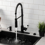 Paris Single-Handle 1-Hole Deck Mount Pre-Rinse Kitchen Faucet