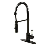 Paris Single-Handle 1-Hole Deck Mount Pre-Rinse Kitchen Faucet