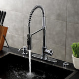 Kaiser Single-Handle 1-Hole Deck Mount Pre-Rinse Kitchen Faucet