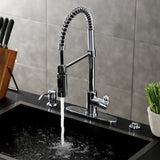 Paris Single-Handle 1-Hole Deck Mount Pre-Rinse Kitchen Faucet