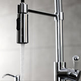 Paris Single-Handle 1-Hole Deck Mount Pre-Rinse Kitchen Faucet