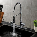 Paris Single-Handle 1-Hole Deck Mount Pre-Rinse Kitchen Faucet