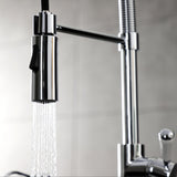 Paris Single-Handle 1-Hole Deck Mount Pre-Rinse Kitchen Faucet