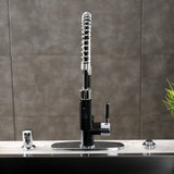 Kaiser Single-Handle 1-Hole Deck Mount Pre-Rinse Kitchen Faucet