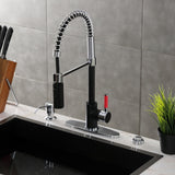 Kaiser Single-Handle 1-Hole Deck Mount Pre-Rinse Kitchen Faucet